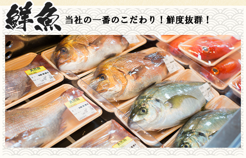 鮮魚　当社の一番のこだわり！鮮度抜群！